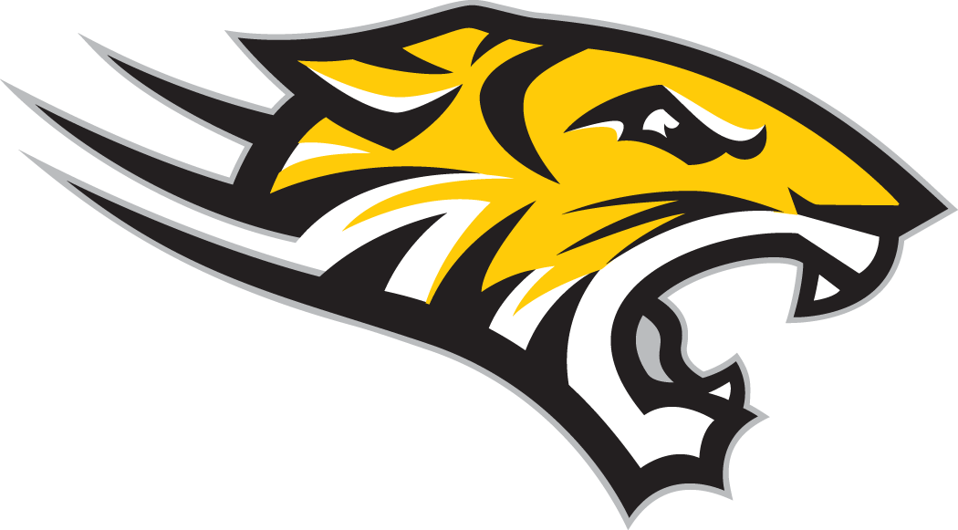 Towson Tigers 2004-Pres Alternate Logo v4 diy fabric transfers